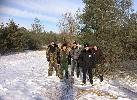 Лесники Волгоградской области провели 234 рейда по охране деревьев